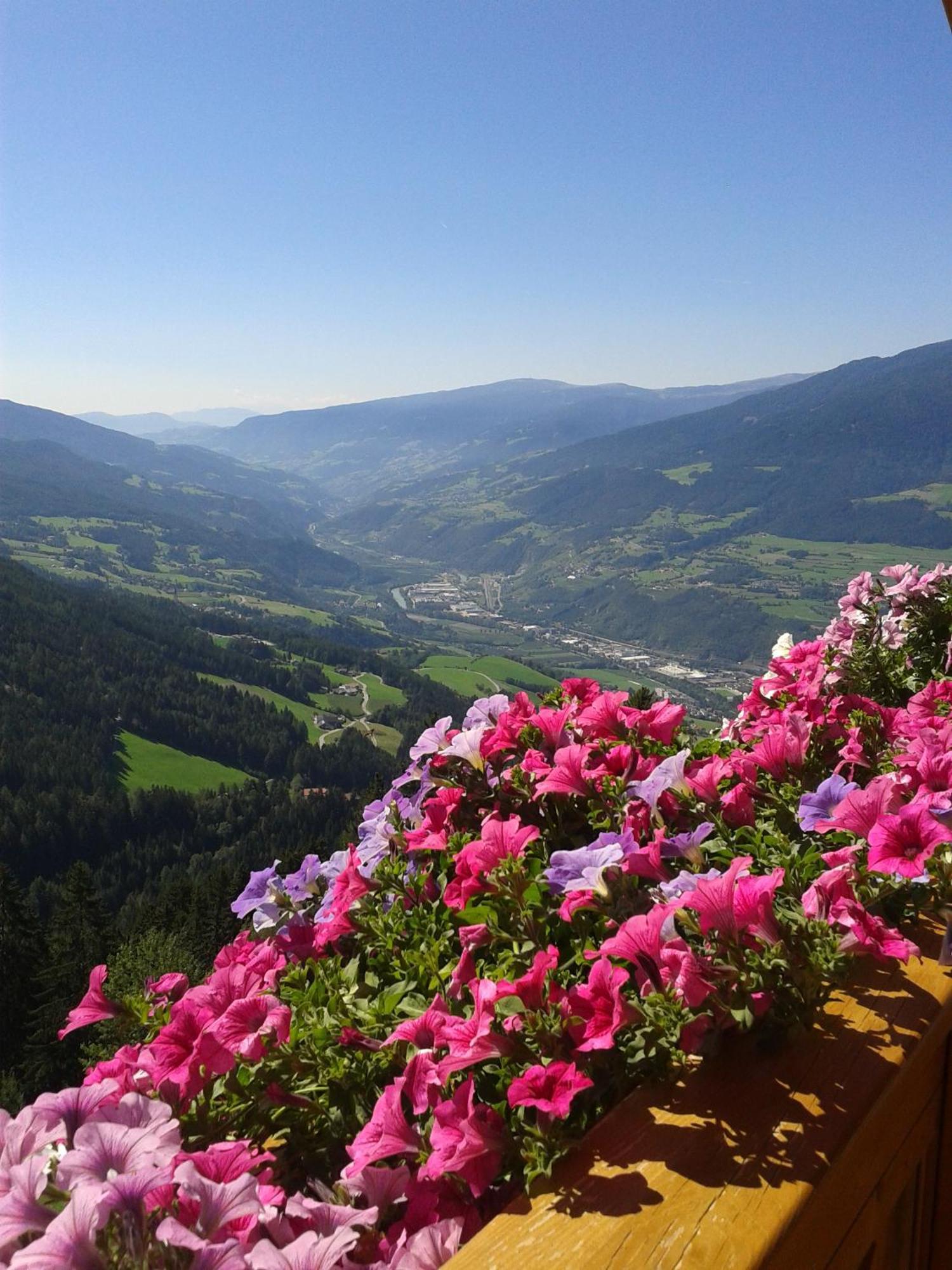 Kaserhof Wandern- Alleinlage - Ruhig- Top Aussicht Bressanone Luaran gambar